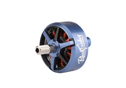 BF2207 KV1950 Gray/Blue