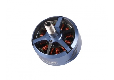 BF2207 KV1950 Gray/Blue